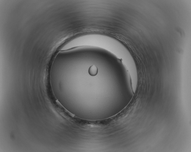 X0000113550352200910091308