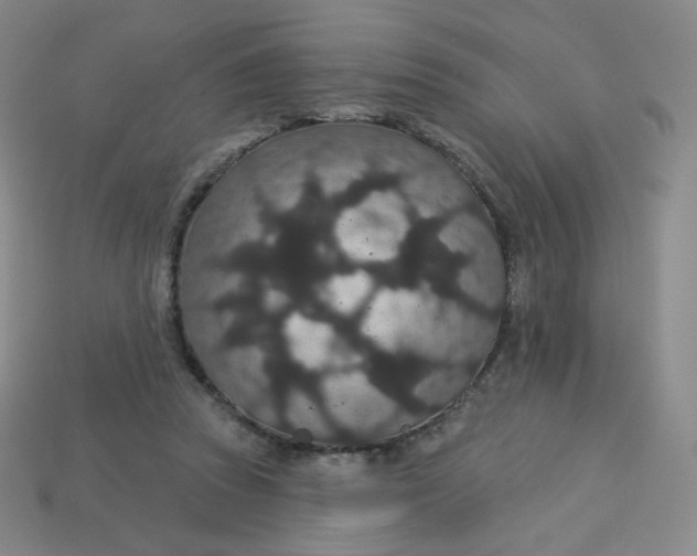 X0000113550353200910091308