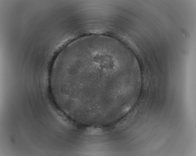 X0000113550354200910091308