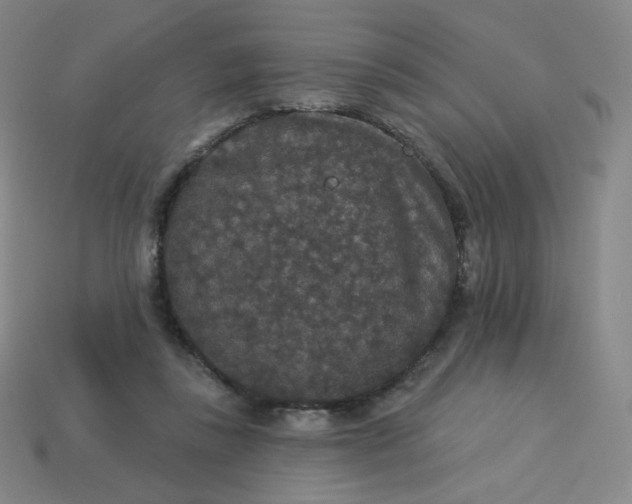 X0000113550355200910091308