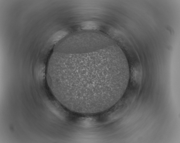 X0000113550356200910091309