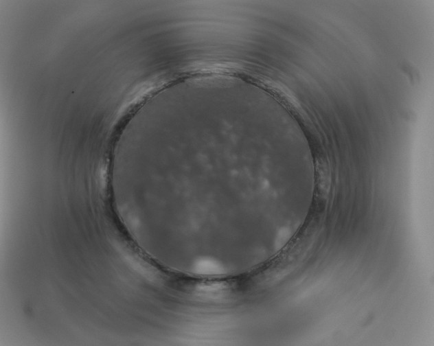 X0000113550357200910091309