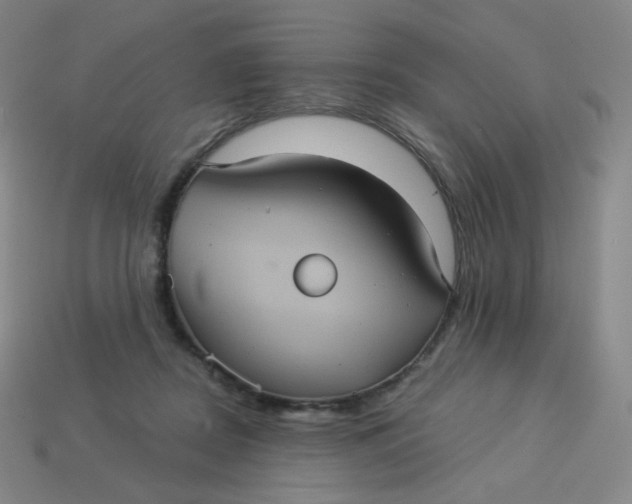 X0000113550362200910091309