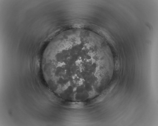 X0000113550363200910091309