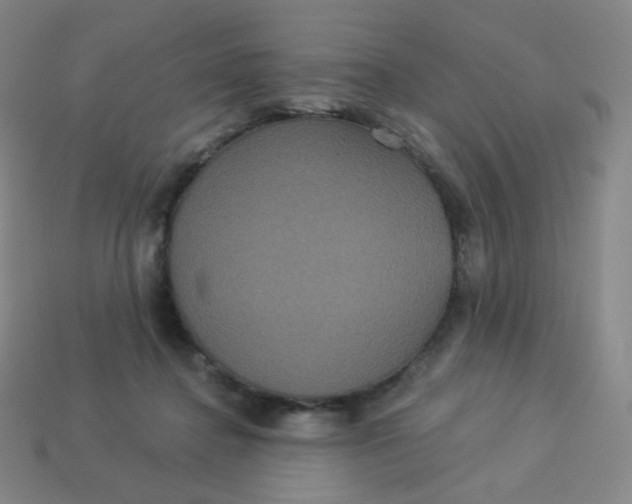 X0000113550364200910091309