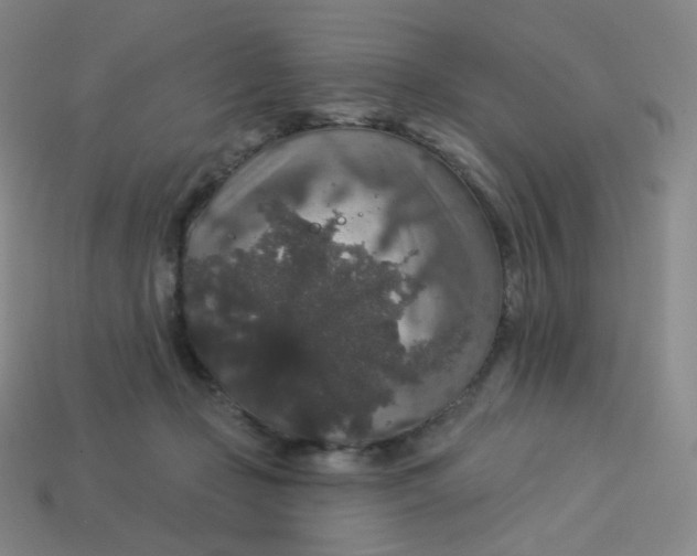 X0000113550365200910091309