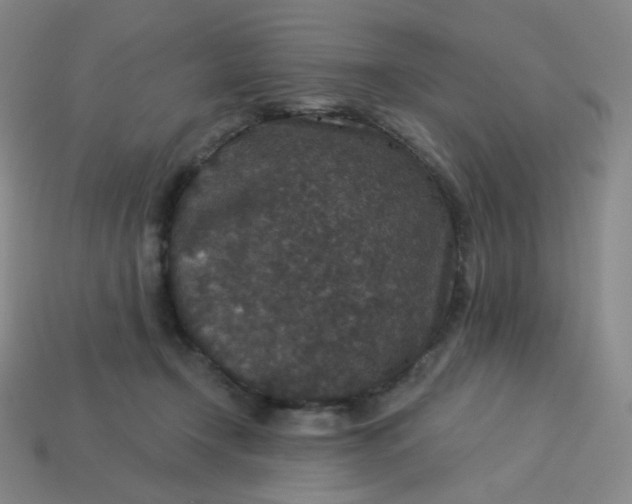 X0000113550366200910091309