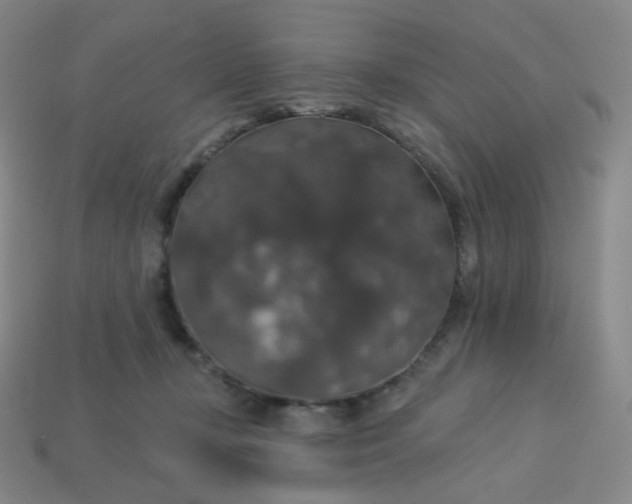 X0000113550367200910091309