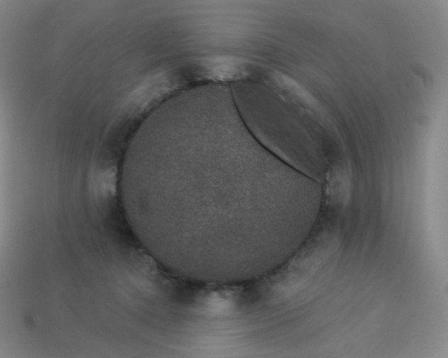 X0000113550368200910091309