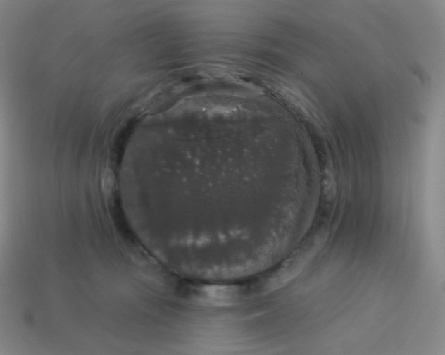 X0000113550371200910091309