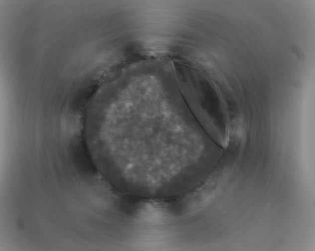 X0000113550372200910091309