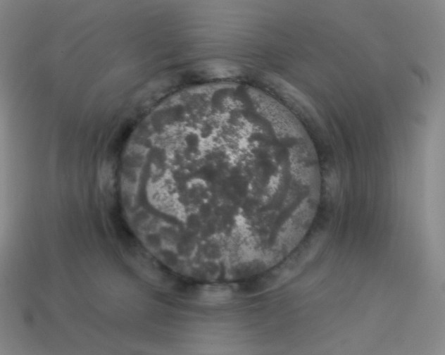 X0000113550373200910091309