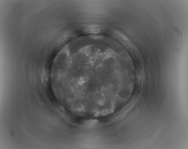 X0000113550374200910091309