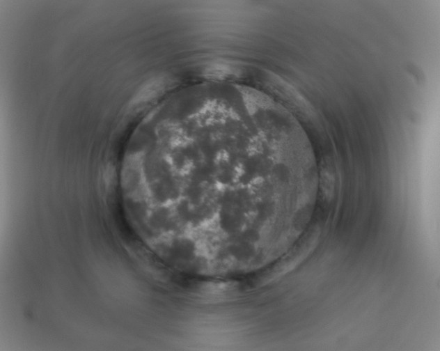 X0000113550375200910091309