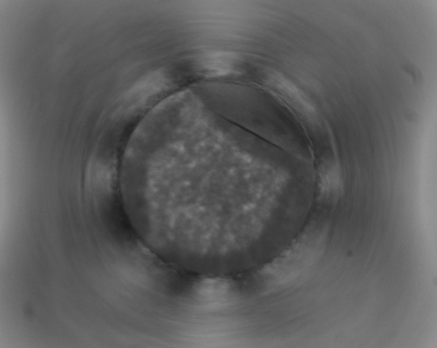 X0000113550376200910091309