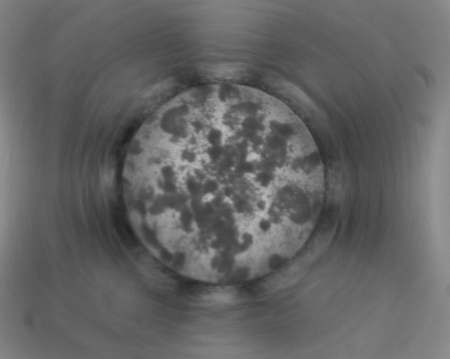 X0000113550377200910091309