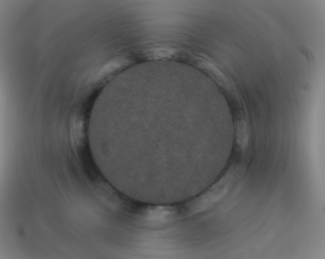 X0000113550378200910091309