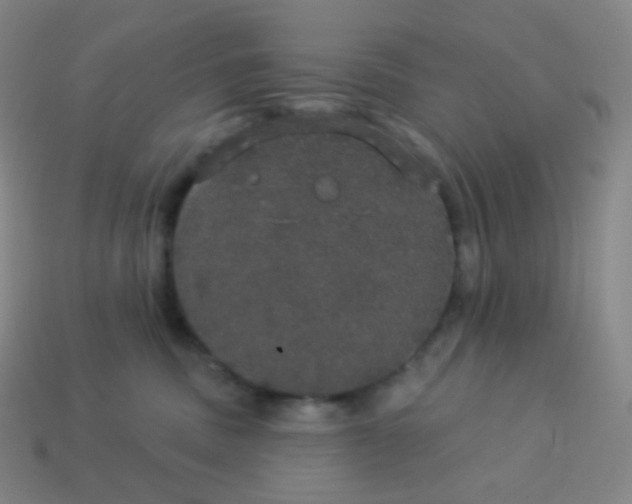 X0000113550379200910091309