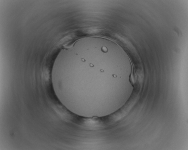 X0000113550380200910091309