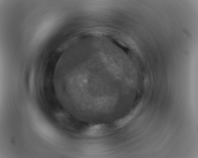 X0000113550382200910091309