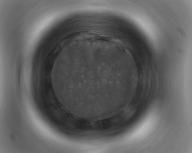 X0000113550383200910091309