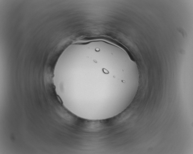 X0000113550384200910091309