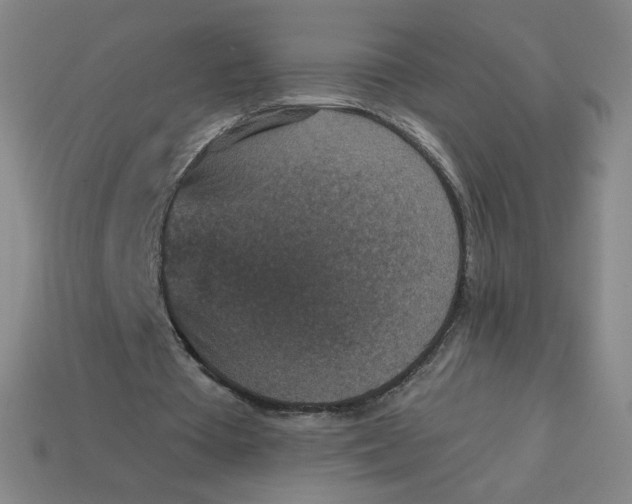 X0000113550385200910091308