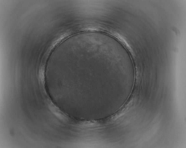 X0000113550386200910091308