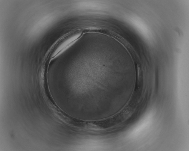 X0000113550387200910091308