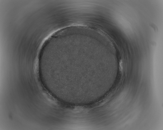 X0000113550388200910091308