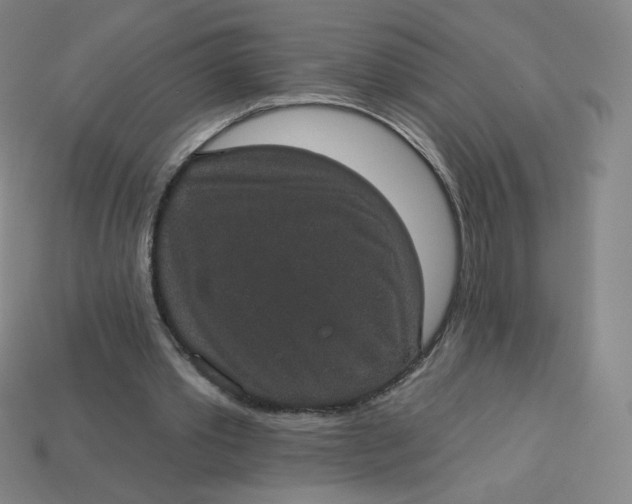 X0000113550389200910091308