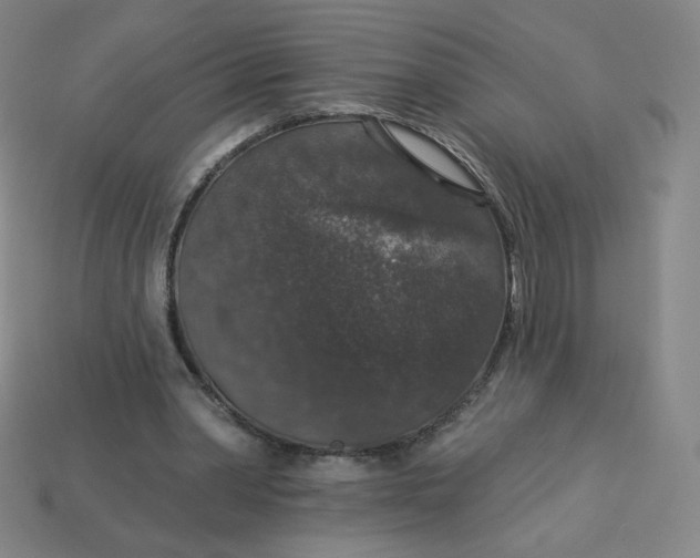 X0000113550390200910091308