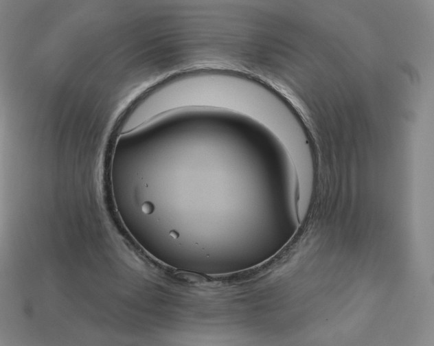 X0000113550391200910091308