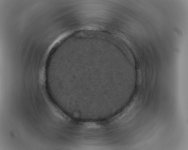 X0000113550392200910091308