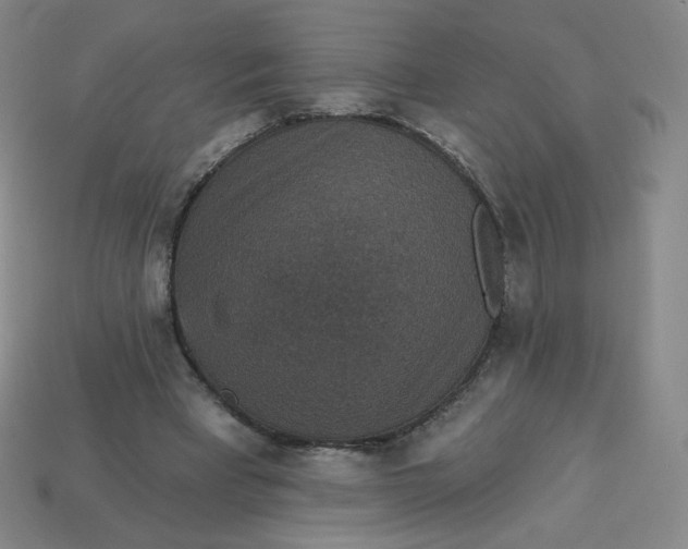 X0000113550393200910091308