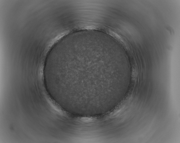 X0000113550394200910091308