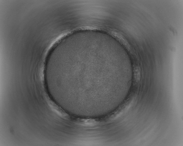 X0000113550395200910091308