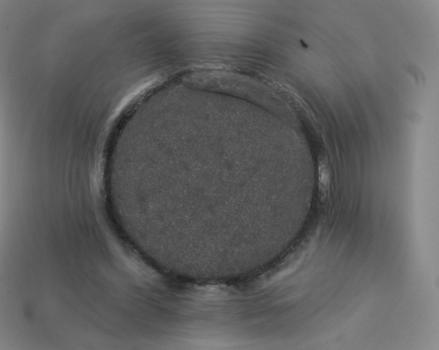 X0000113550396200910091308