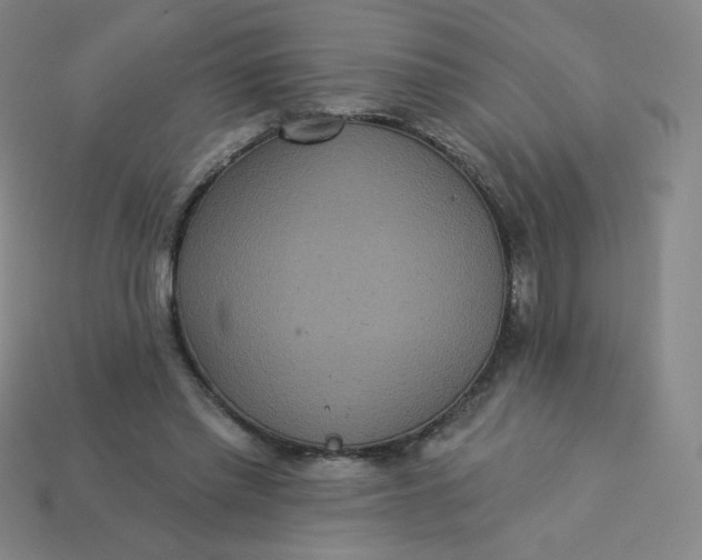 X0000113550397200910091308