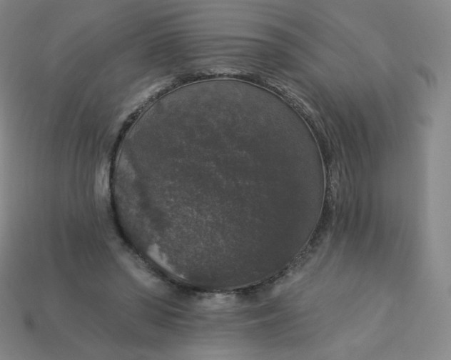 X0000113550398200910091308