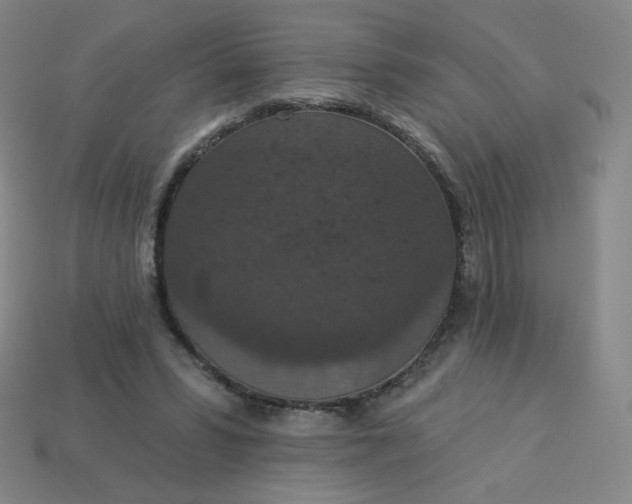 X0000113550399200910091308