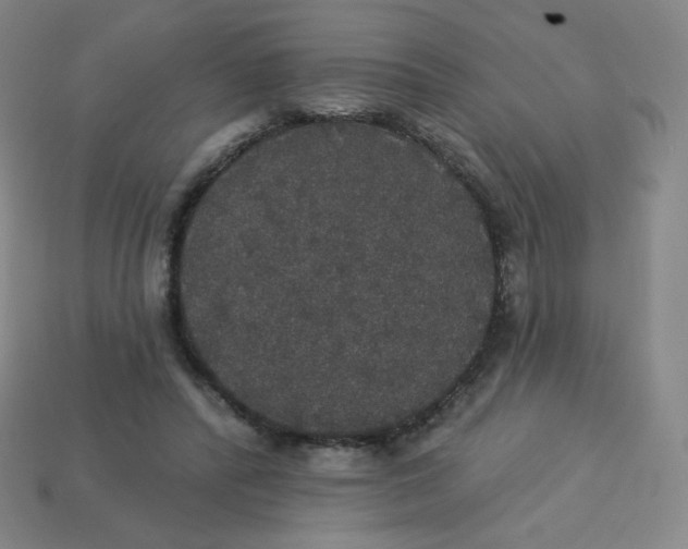 X0000113550400200910091308