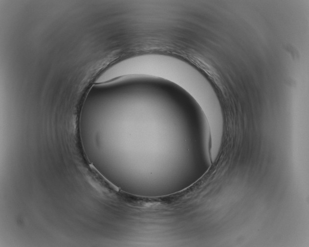 X0000113550401200910091308