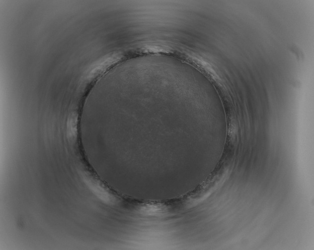 X0000113550402200910091308