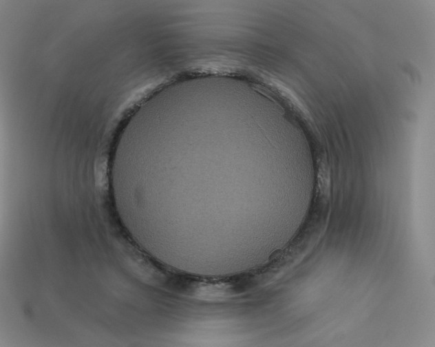 X0000113550403200910091308