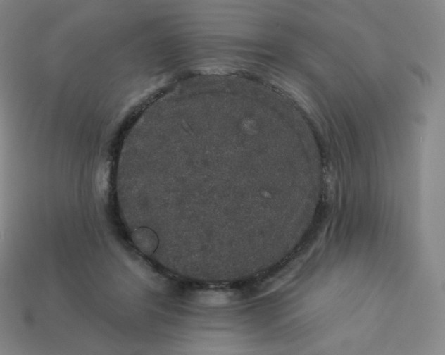 X0000113550404200910091308