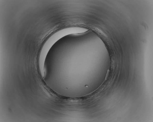 X0000113550405200910091308