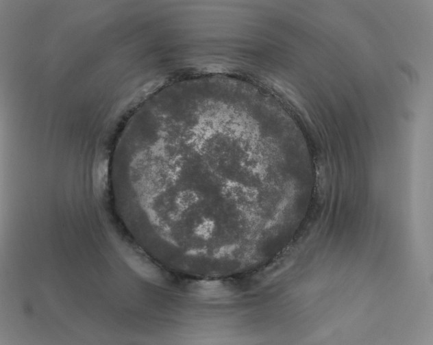 X0000113550406200910091308