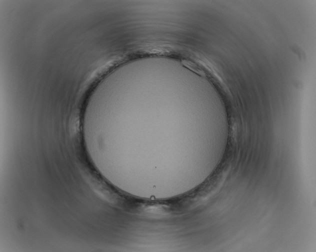 X0000113550407200910091308