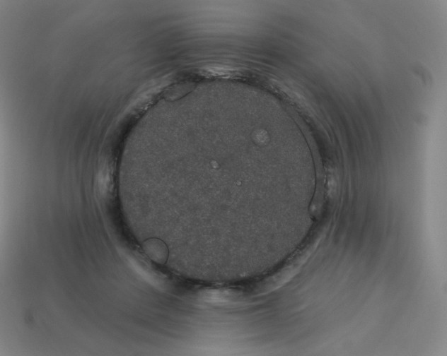 X0000113550408200910091308